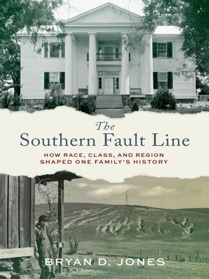 cover image of The Southern Fault Line